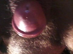 20170806_040511.jpg