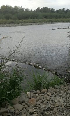 IMG_20170806_120233.jpg