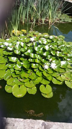 20170805_132454.jpg