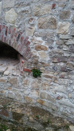 20170806_165811.jpg