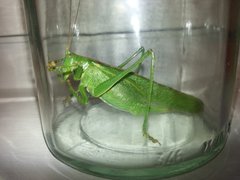 20170807_193003.jpg
