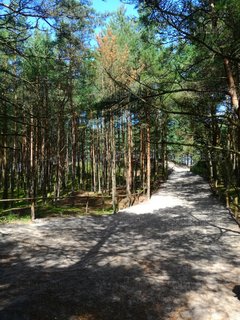 IMG_20170731_1235084.jpg