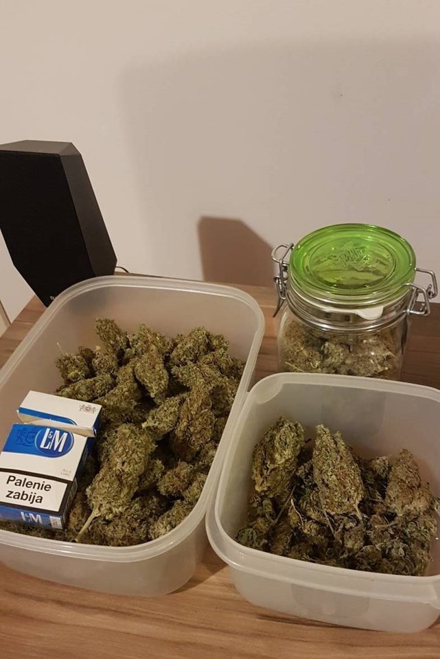 20170225_090713.jpg - yaackenn
