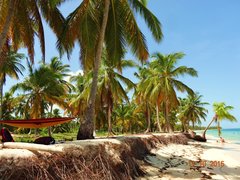 DSC05918.JPG