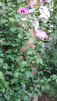 IMG_20170813_113048.jpg