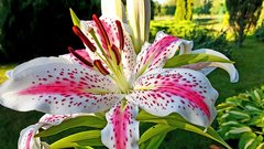 20170726_190604.jpg
