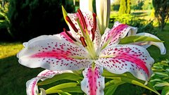 20170726_190602.jpg