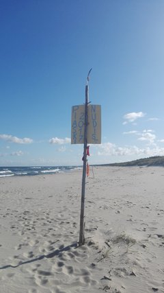 IMG_20170814_083207.jpg