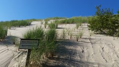 20170814_165011.jpg