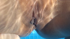 DSC05864.JPG