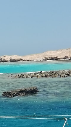 IMG_20170622_104911.jpg