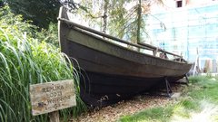 20170816_105242.jpg