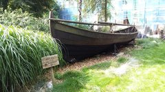 20170816_105230.jpg