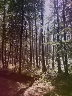 20170816_194800.jpg