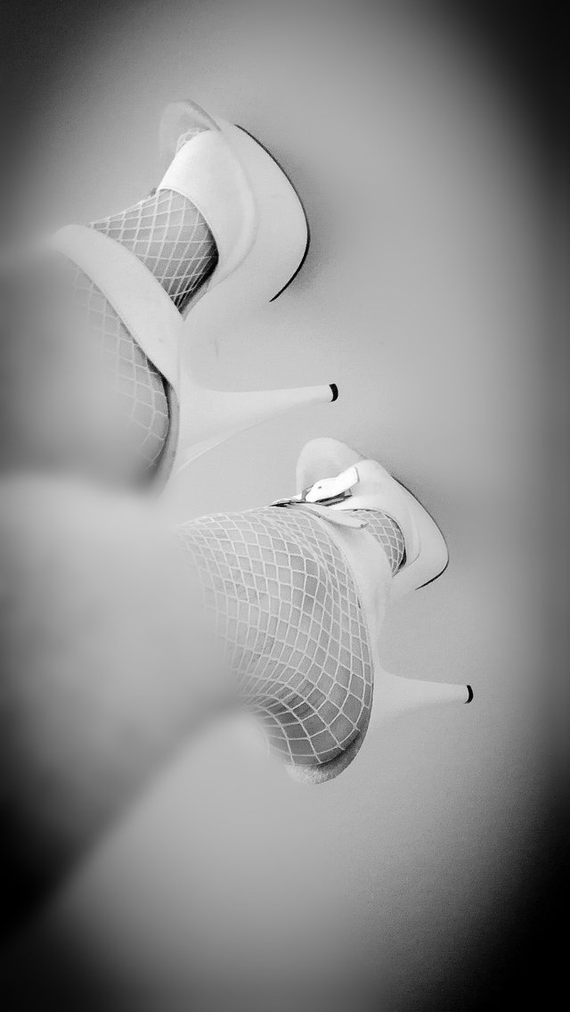 lilyheels