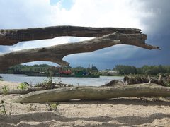 20170821_120556.jpg