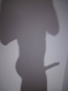 IMG_20170821_213926.jpg
