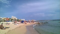 WP_20170814_027.jpg