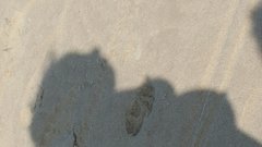 20170824_124513.jpg