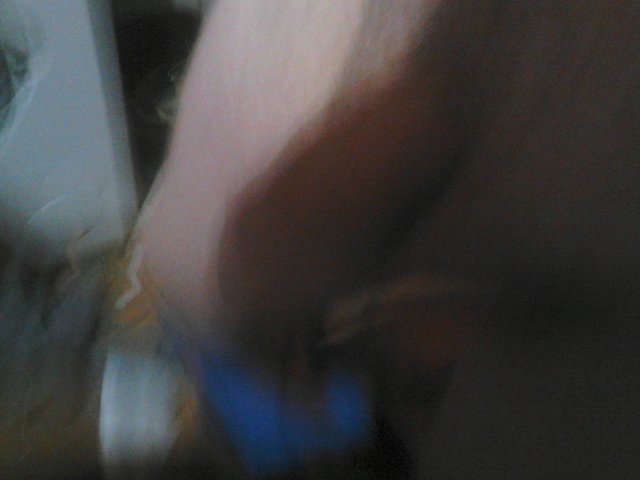 Rober28811