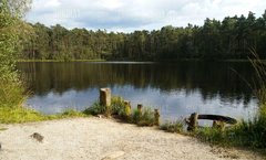 20170828_161311.jpg