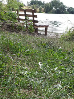 20170829_114600_001.jpg