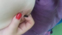 20170829_120059.jpg