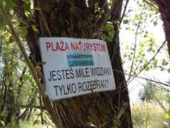 20170831_125116.jpg