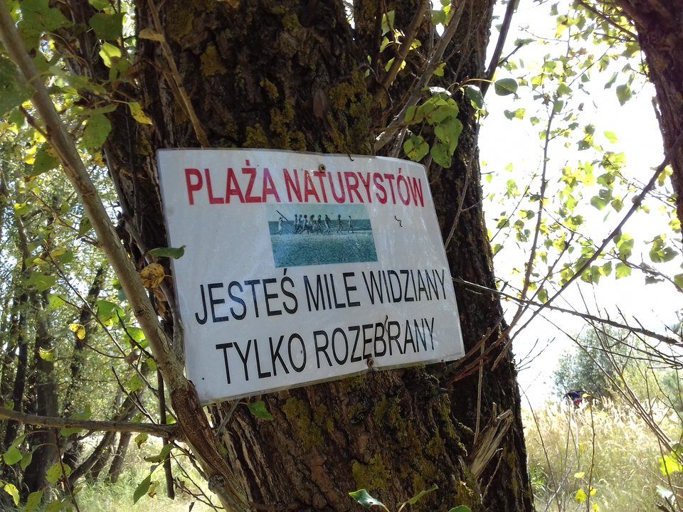 20170831_125116.jpg - przeznaczenie79