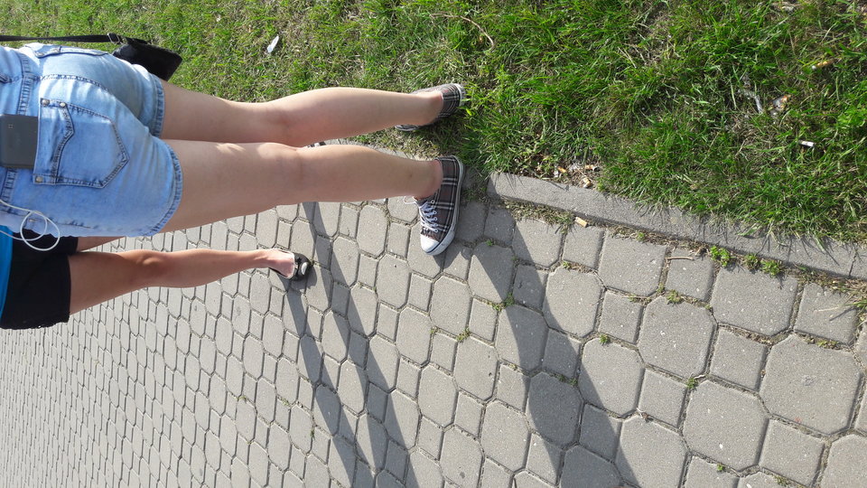 niecierpiwaducpia3.jpg - wesolaparkalbl