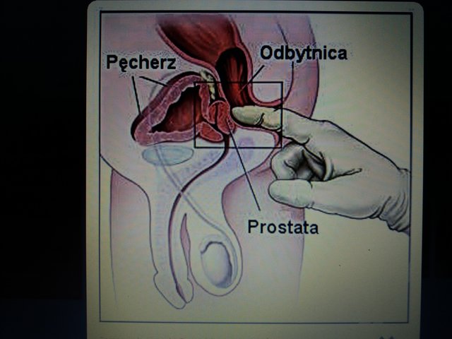 facetzcycem