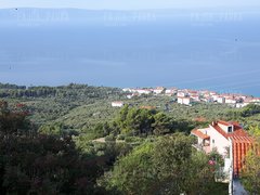 20170901_082707.jpg