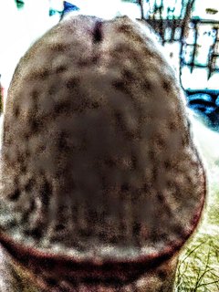 IMG_20170905_112924595~4.jpg