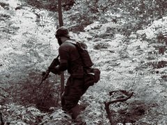 PMC