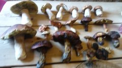 20170906_145734.jpg