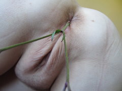 IMG_9620.JPG