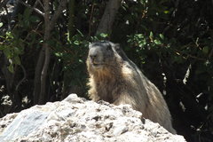 DSCF3110.JPG