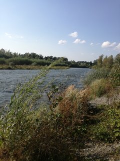 IMG_20170909_152145.jpg