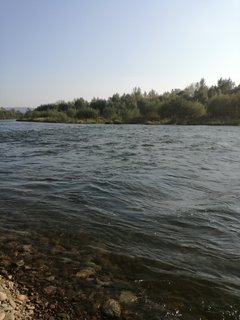 IMG_20170909_165423.jpg