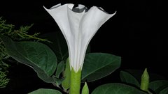20170911_190908.jpg