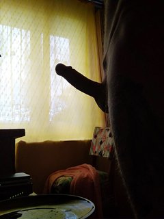 IMG_20170626_144951.jpg