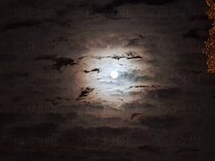 20170905_015159.jpg