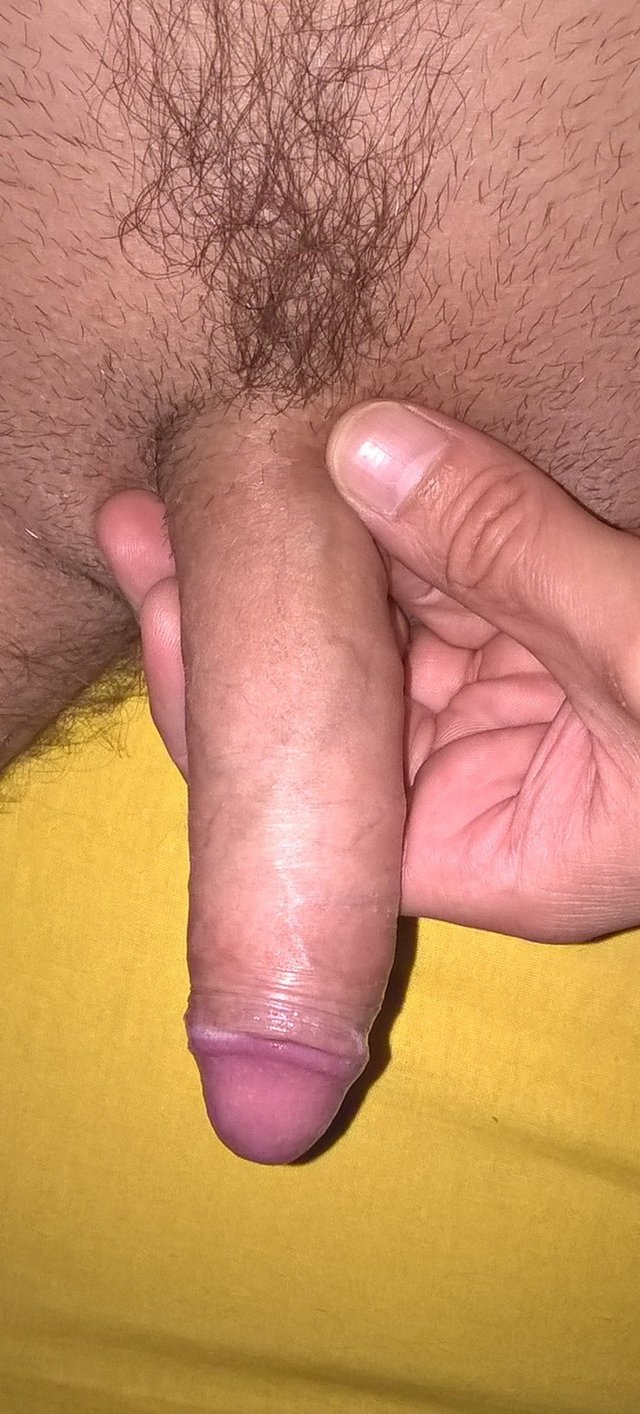 michal19812808