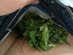 IMG_20170915_140727.jpg