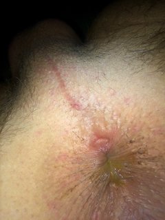 IMG_2517.JPG