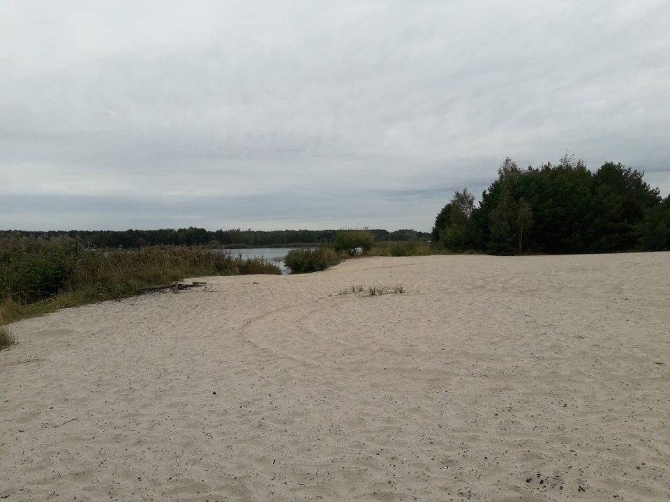 20170916_090027.jpg - chris19771977