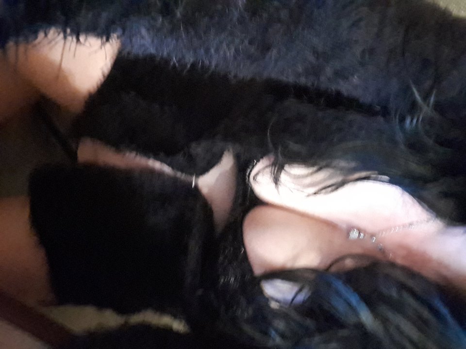20170917_053352.jpg - Parka81O
