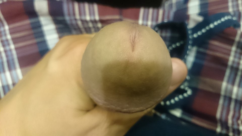 2017-09-16_22.12.06.jpg - pokazywaki