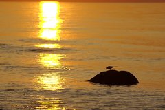 DSC_5789.jpg