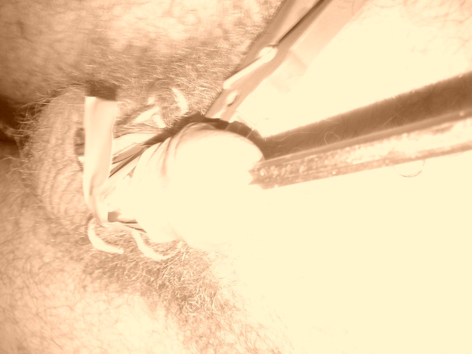 20170917_074645.jpg - janekoko4